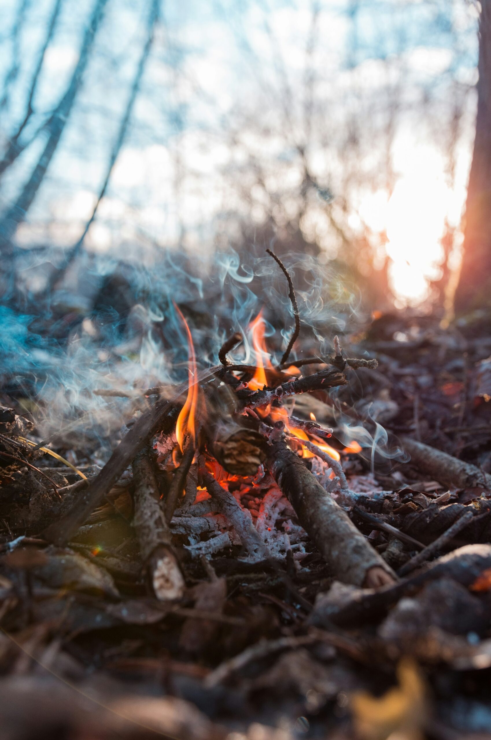 Essen am Feuer